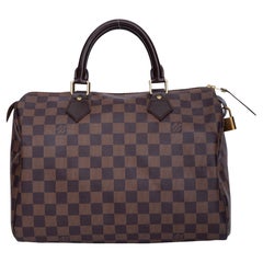 Louis Vuitton Damier Ebene Speedy 30 Handbag