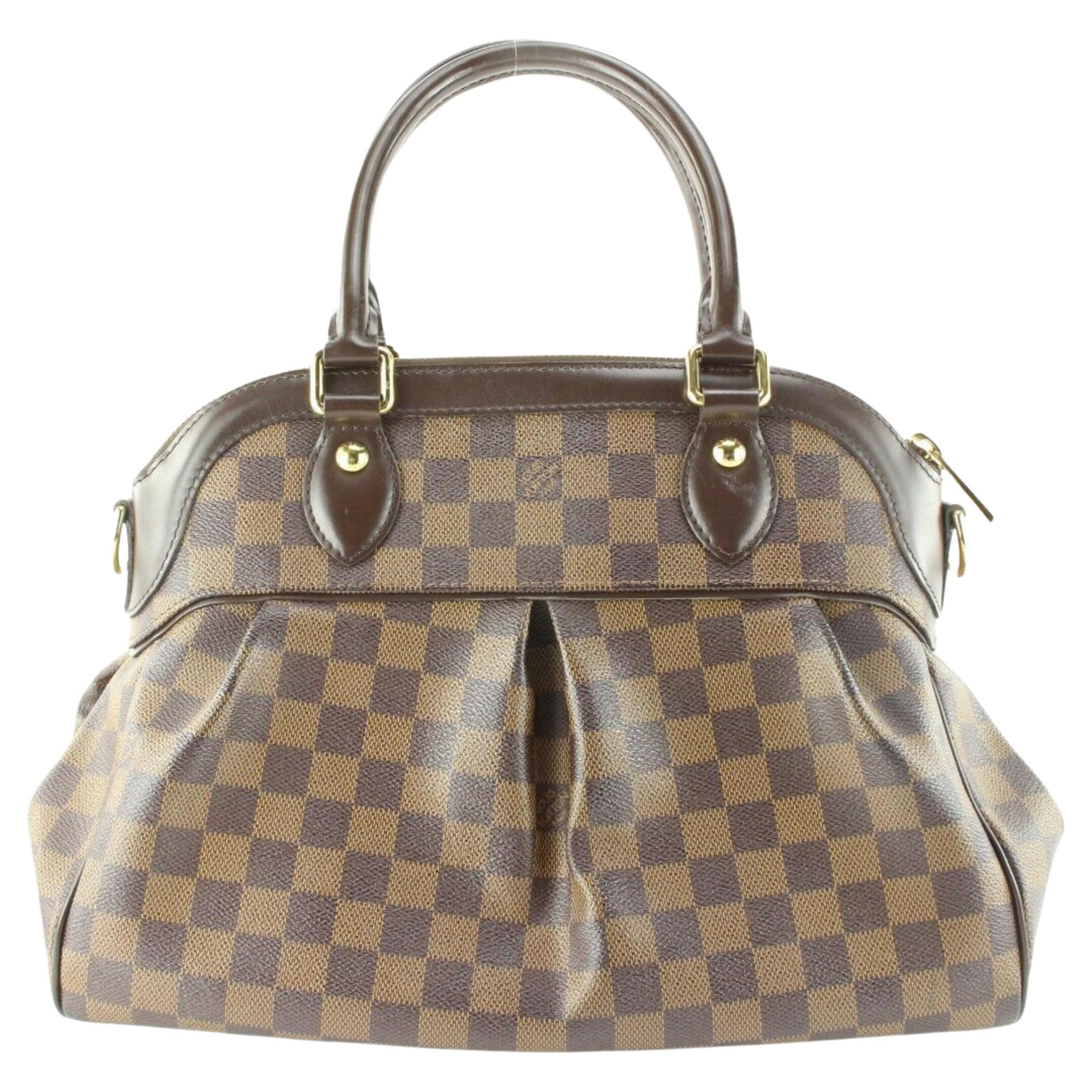 What's in my Bag? - Louis Vuitton Caissa Damier Hobo Bag and Damier  Neverfull MM Bag. 