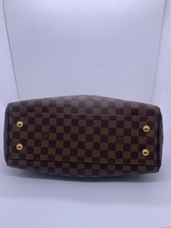 Louis Vuitton Damier Ebene Trevi PM handbag Brown Canvas N51997