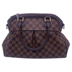 Louis Vuitton Damier Ebene Trevi PM handbag Brown Canvas N51997