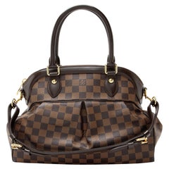 Louis Vuitton Damier Ebene Trevi PM Satchel