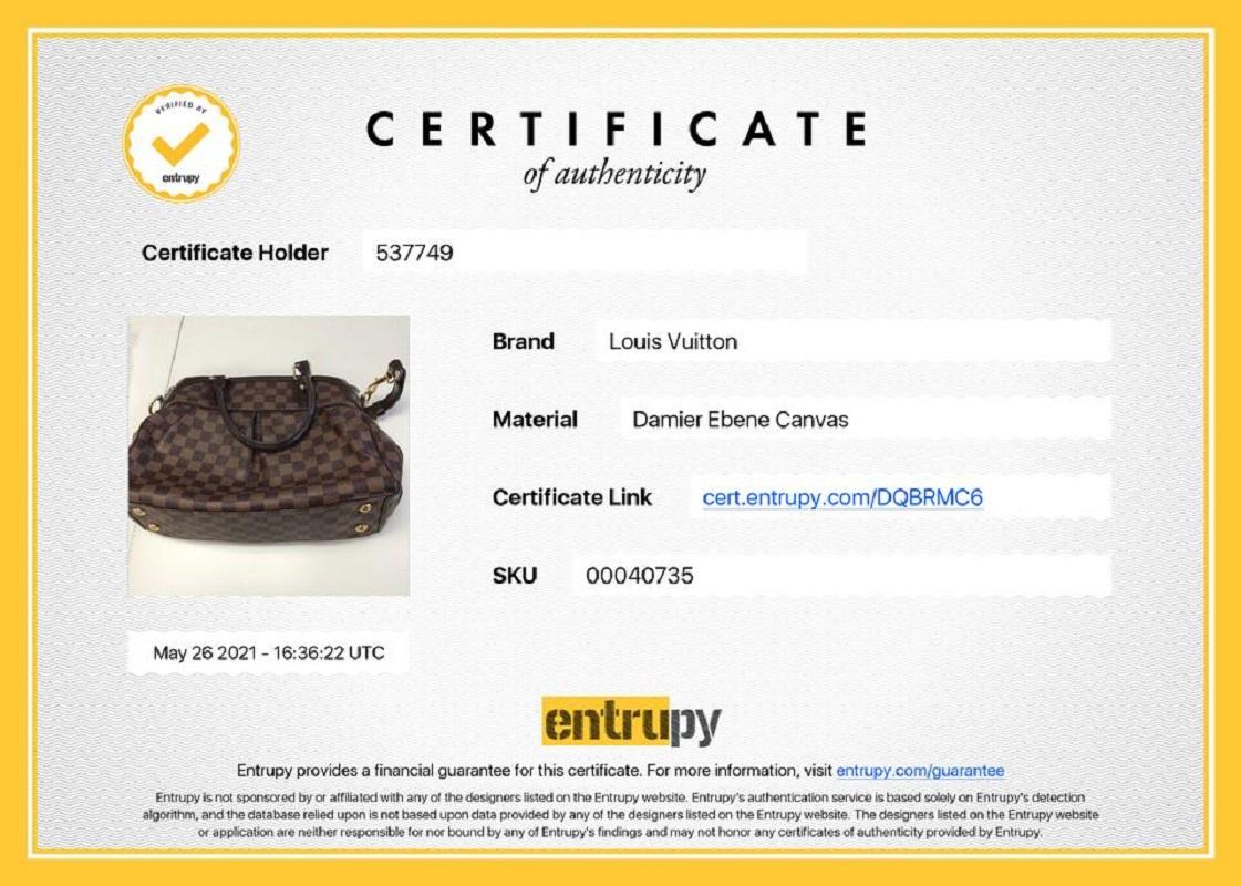 Gray Louis Vuitton Damier Ebene Trevir 2way Bowler Bag 635lvs617 For Sale