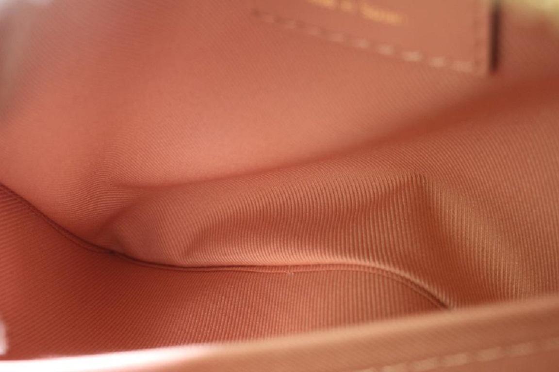 Louis Vuitton Damier Ebene x Pink Venus Santa Monica Camera  Bag 92lv77 1