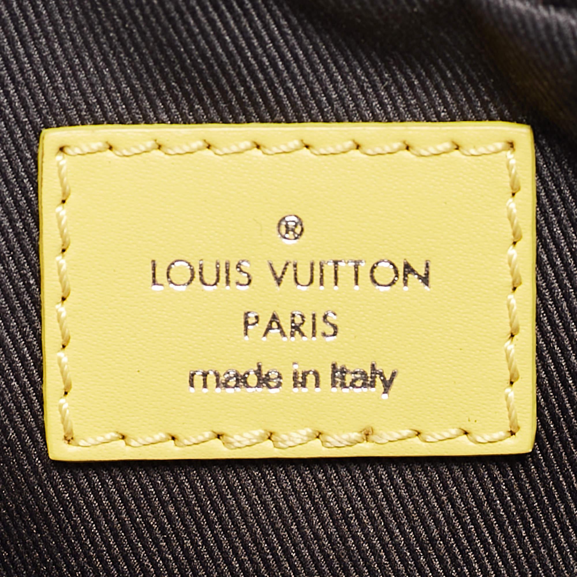 Louis Vuitton Damier Graphite Canvas and Epi Leather Danube Bag 6