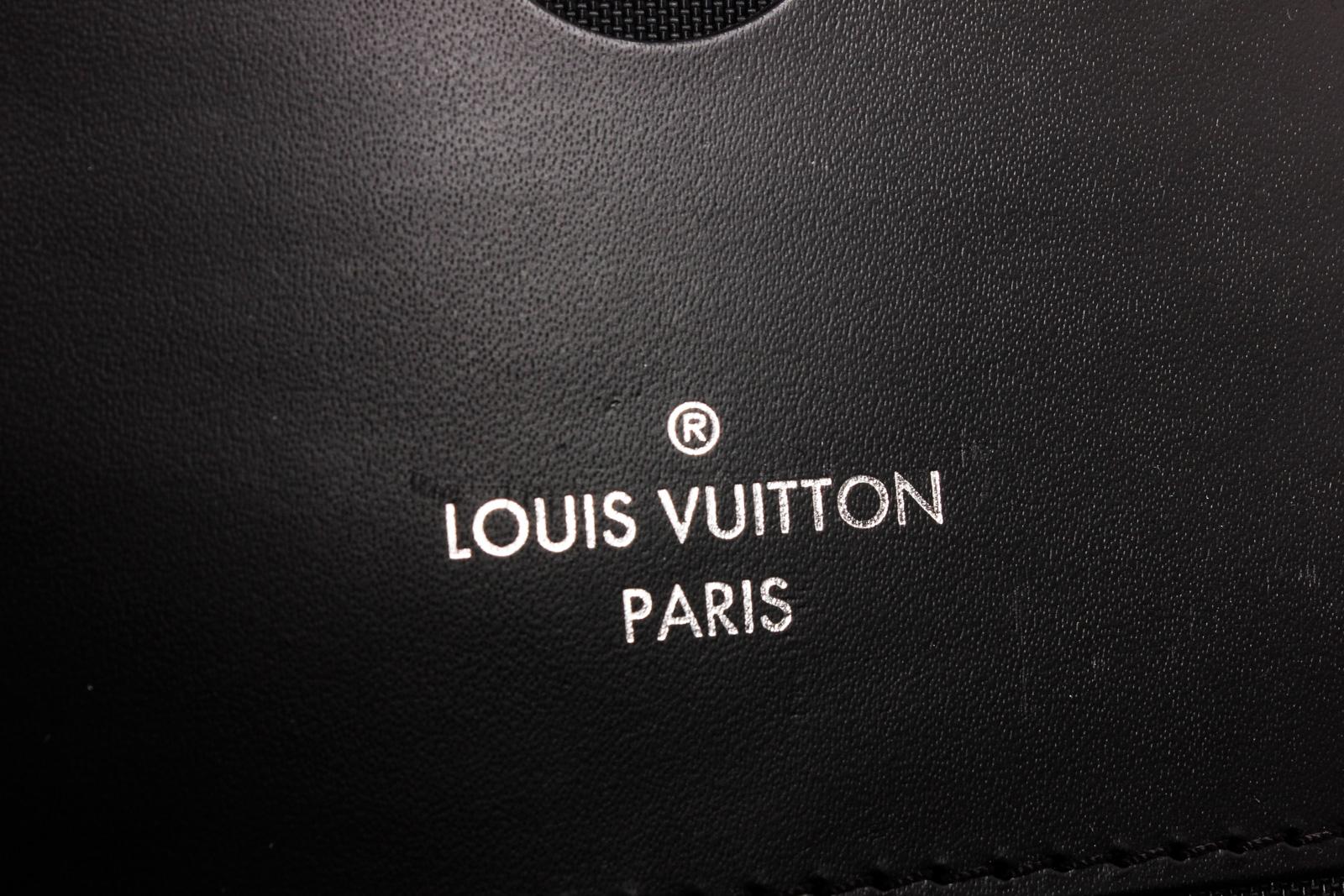 Louis Vuitton Damier Graphite Pegase 55 Rolling Business Luggage 2