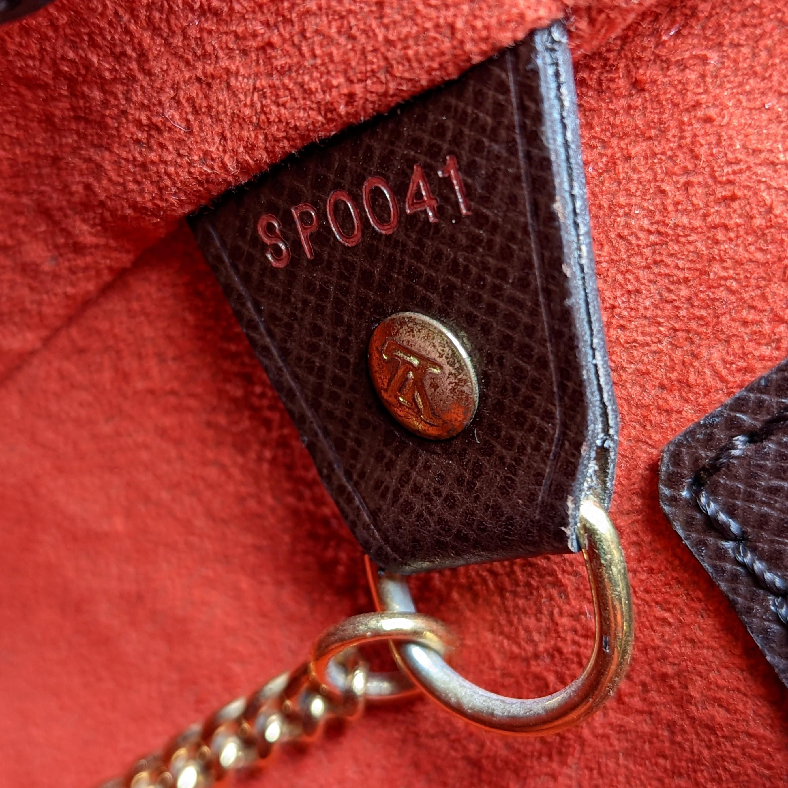 Louis Vuitton Damier Marais Bucket Bag in Leather 13