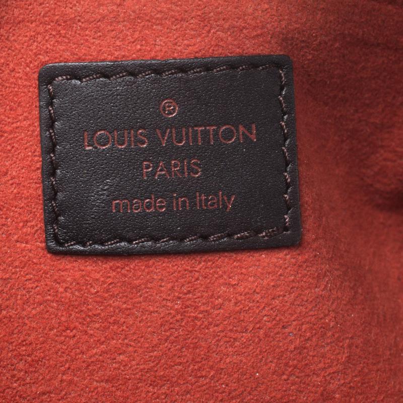 Louis Vuitton Damier Sauvage Calfhair Limited Edition Lionne Spawn Bag 4