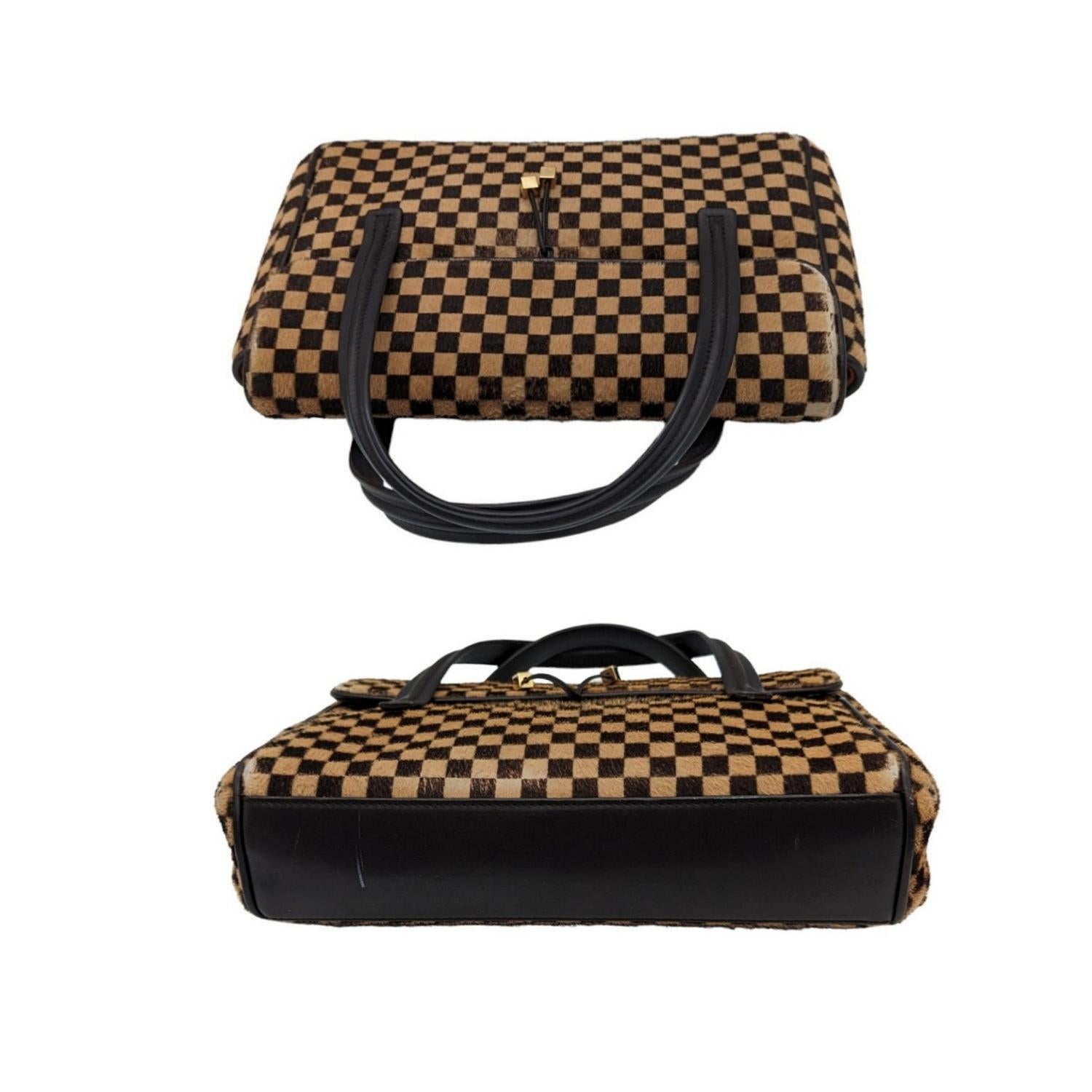 Louis Vuitton Damier Sauvage Lionne Handbag For Sale 1