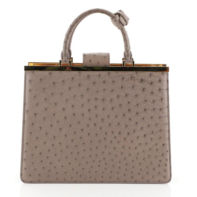 louis vuitton ostrich bag