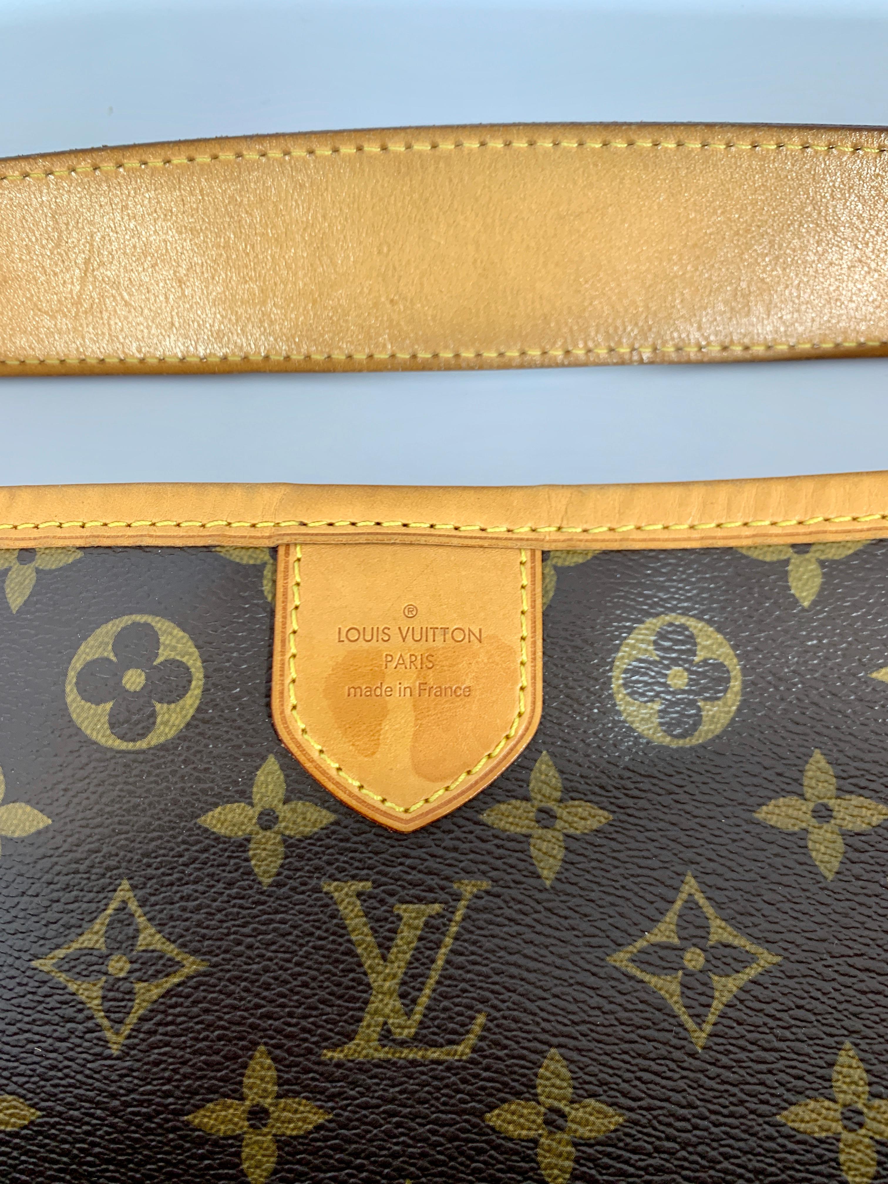 Louis Vuitton Delightful Monogram Pm  Brown Tote 5