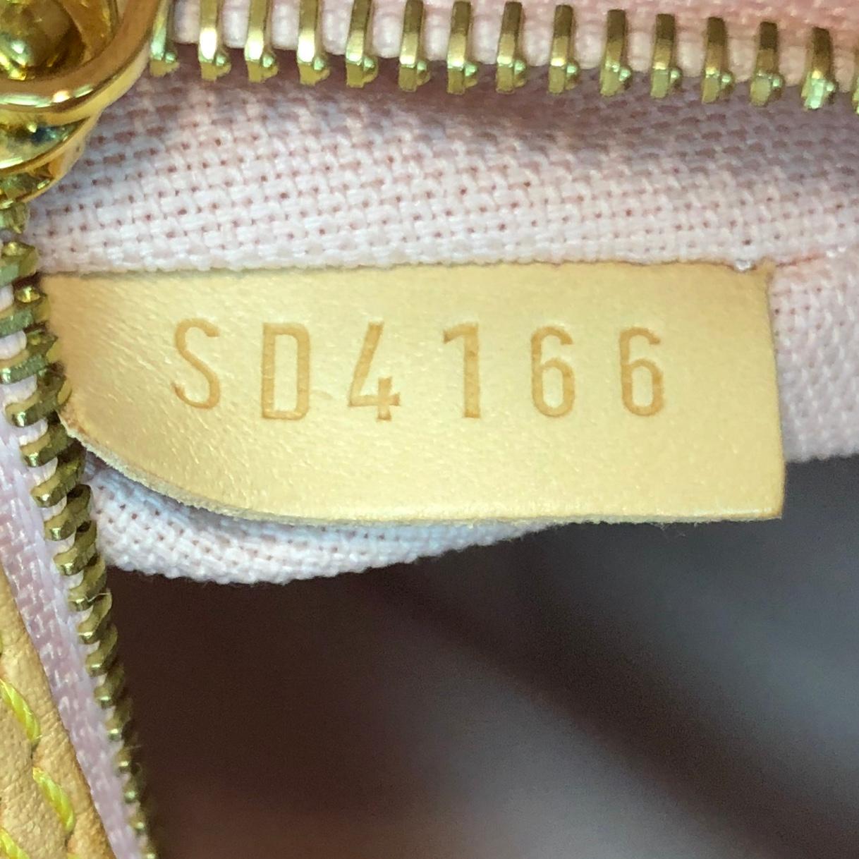 Louis Vuitton Delightful NM Handbag Damier PM 1