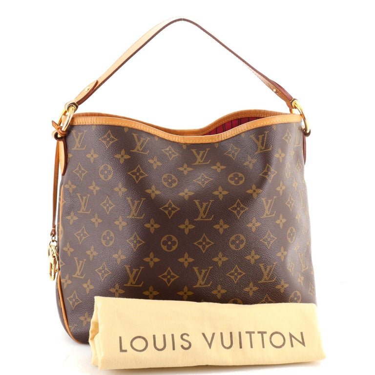 Louis Vuitton Delightful NM Handbag Monogram Canvas PM For Sale at 1stDibs