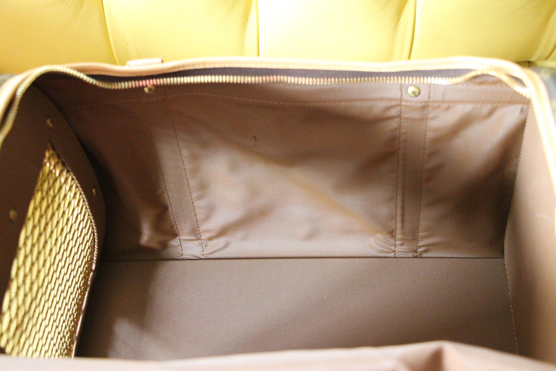 Louis Vuitton Dog Bag 40 cm For Sale 14