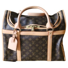 Louis Vuitton Dog Bag 40 cm