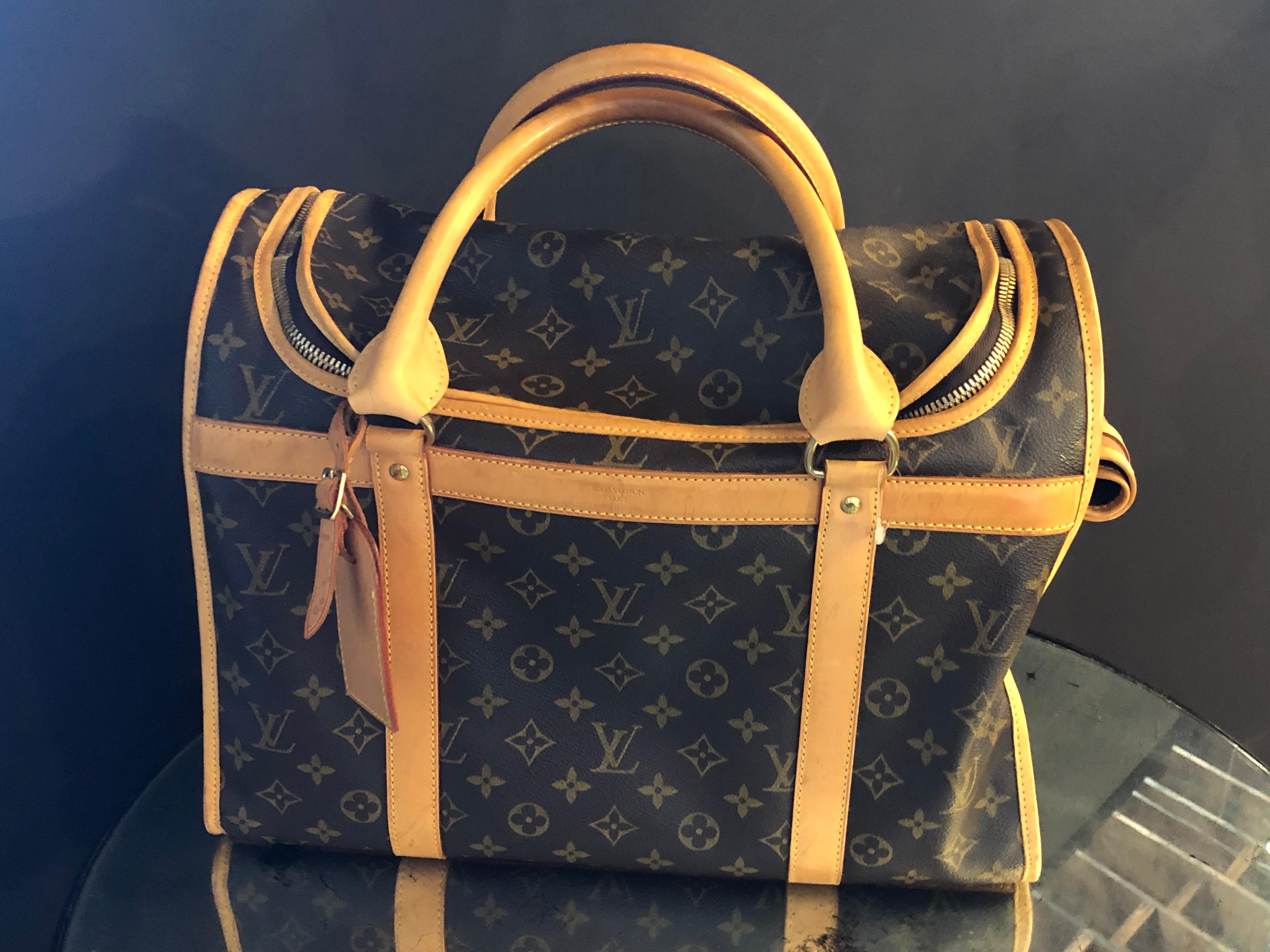 dog louis vuitton bag