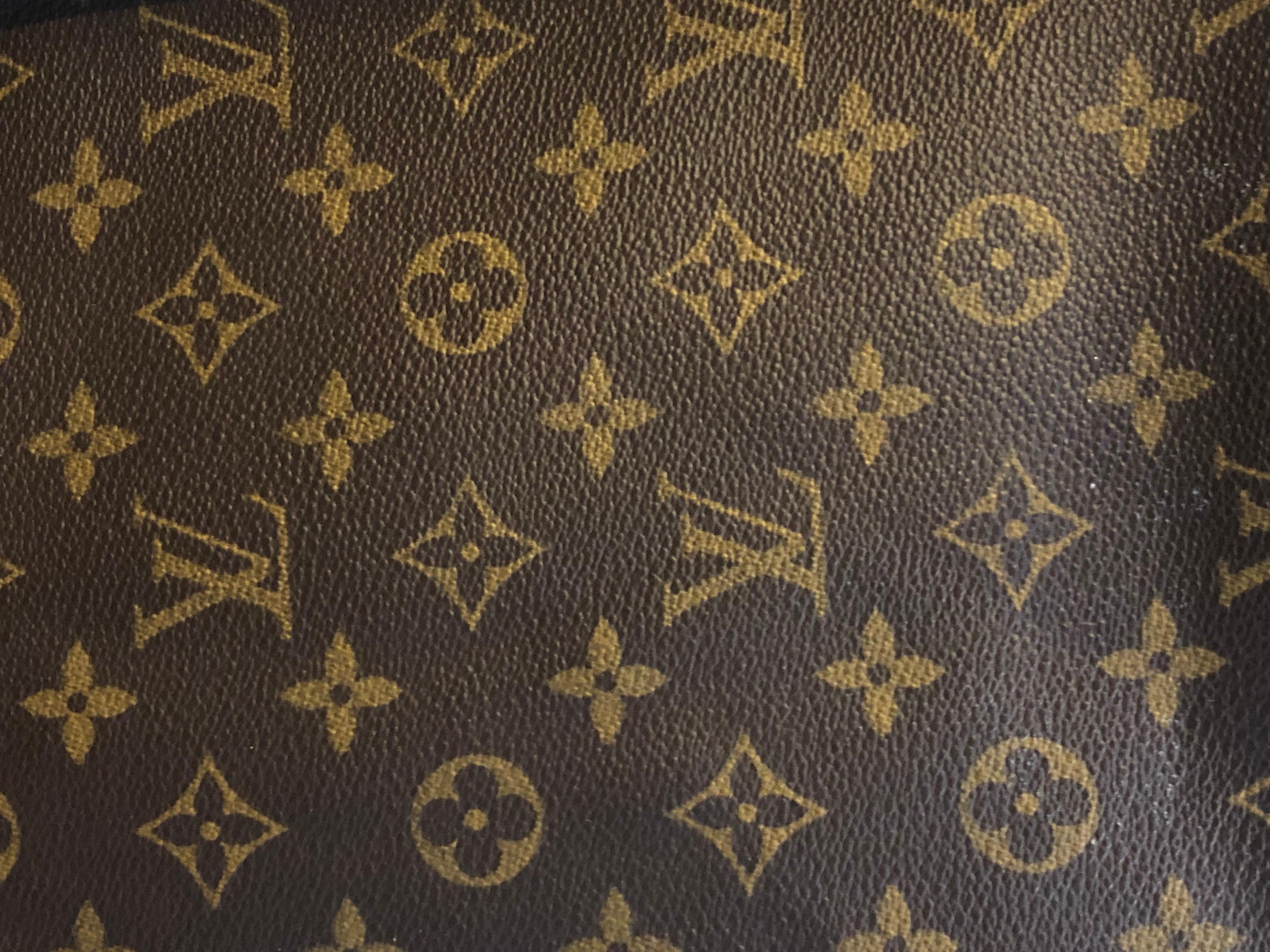 French Louis Vuitton Dog Carrier 40 Monogram Canvas Luggage Bag For Sale