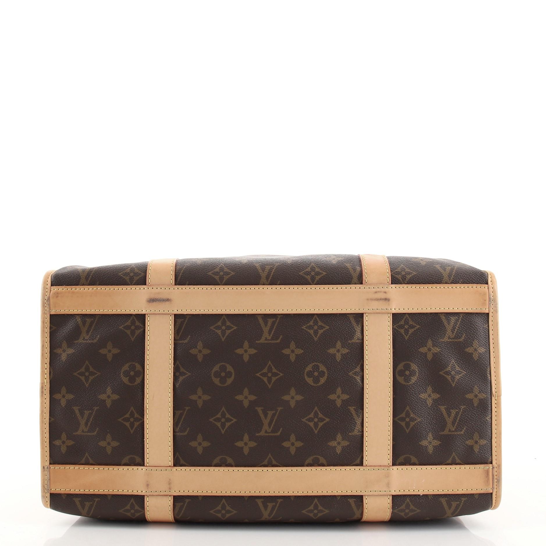 louis vuitton for dogs