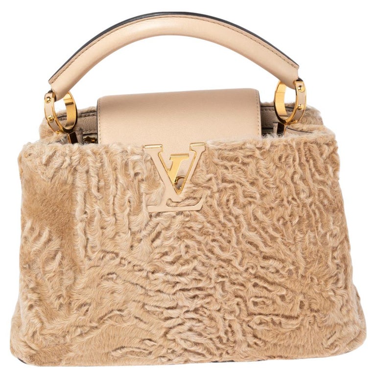 Louis Vuitton Dune Astrakhan and Leather Capucines BB Bag at 1stDibs
