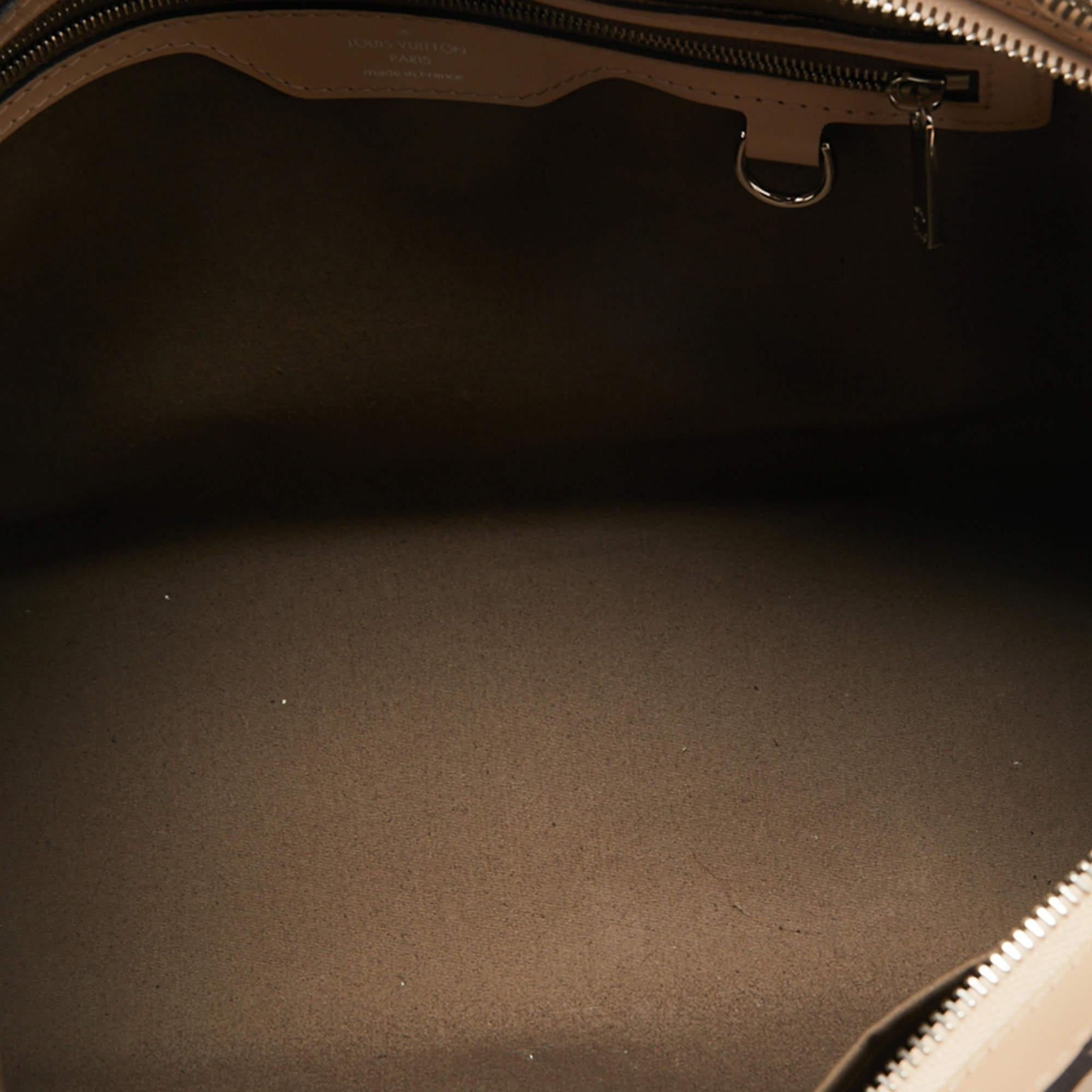 Louis Vuitton Dune Epi Leather Brea MM Bag 5
