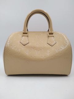 Louis Vuitton Dune Monogram Vernis Montana Bag