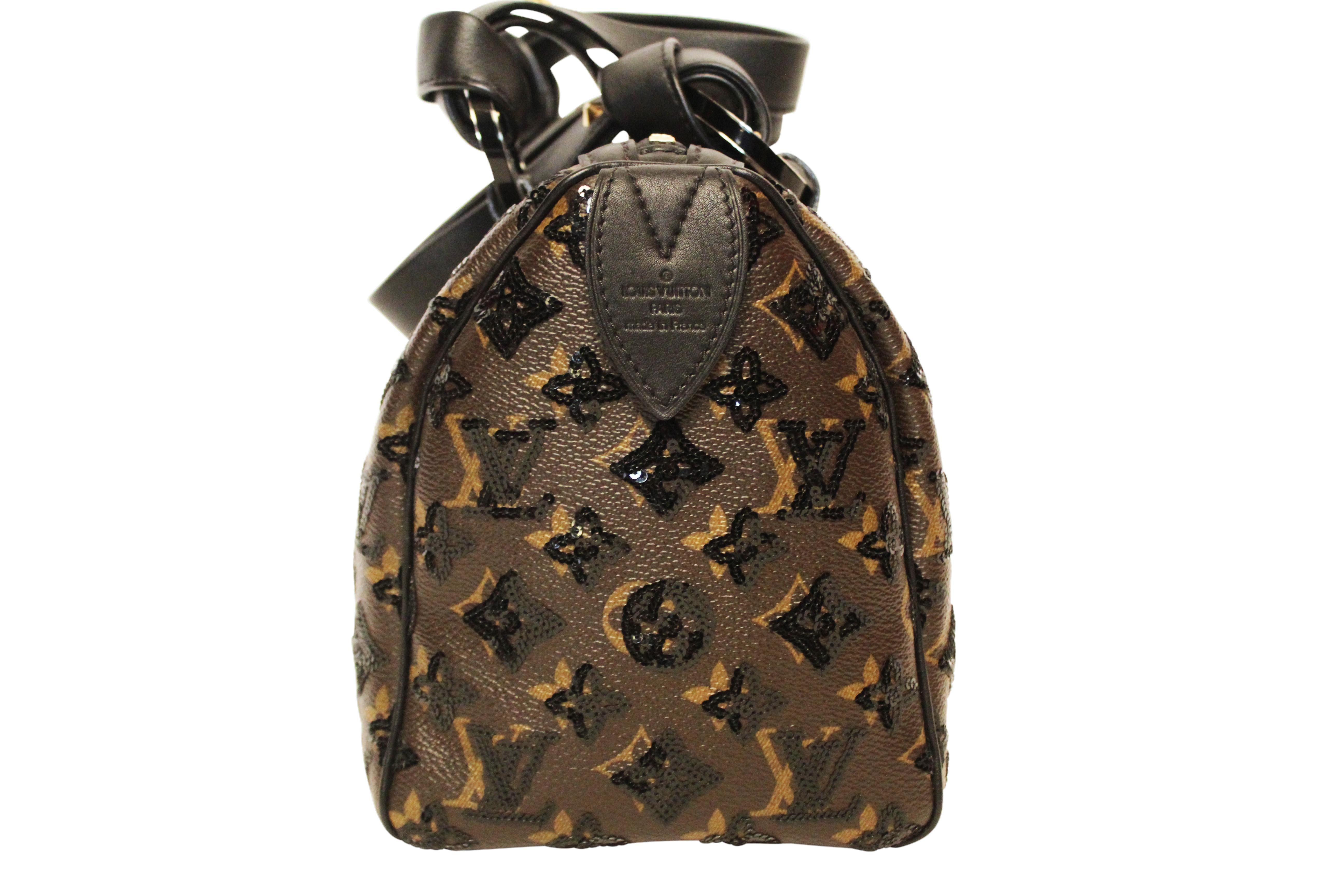 LOUIS VUITTON Eclipse Speedy 28 1