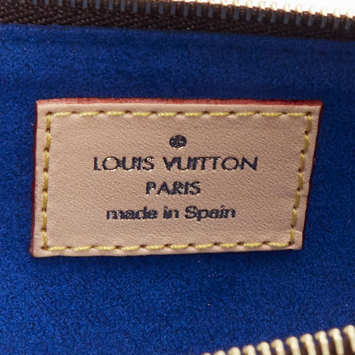 LOUIS VUITTON Elizabeth colorful LV monogram canvas pencil case 4