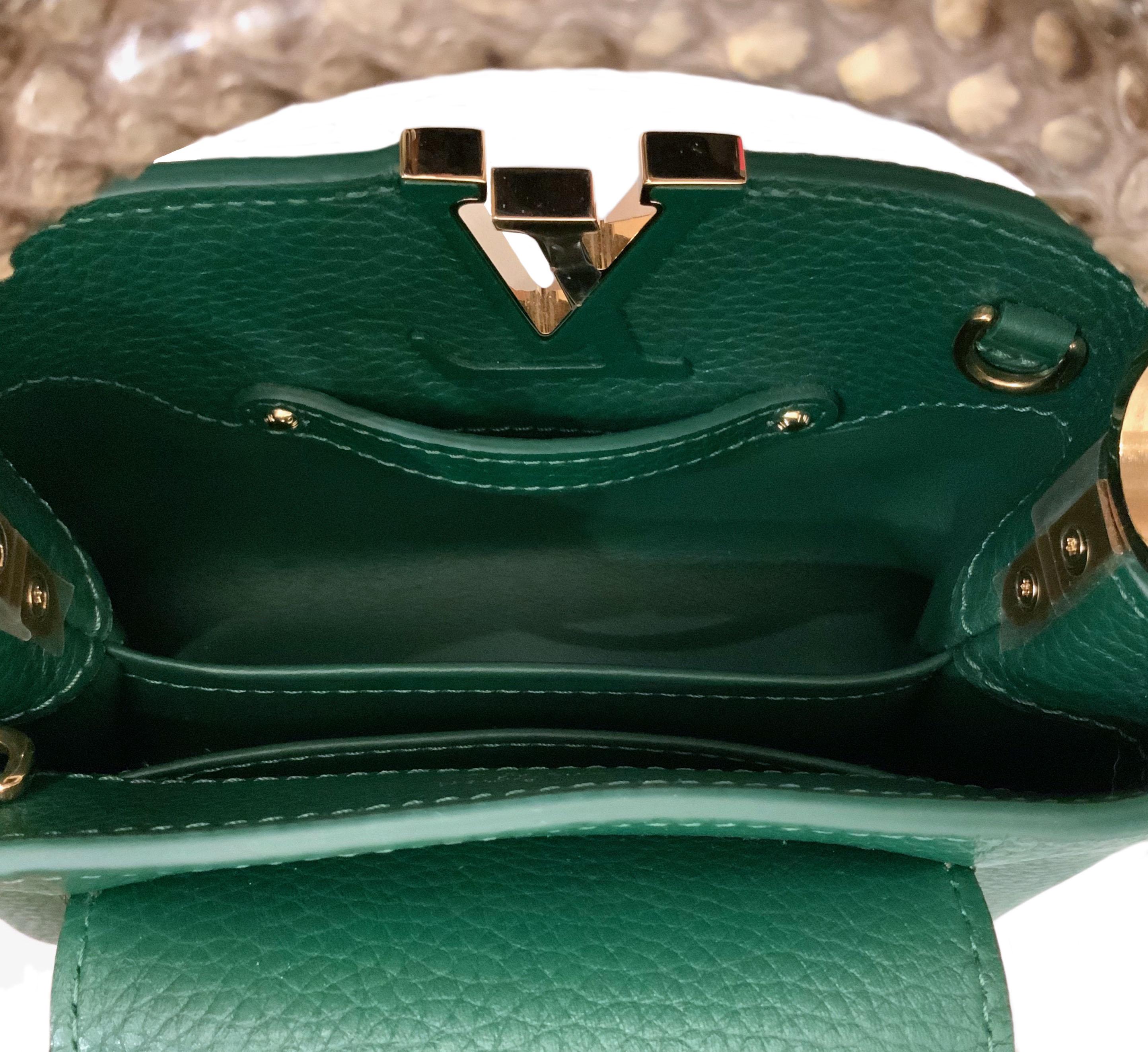 Louis Vuitton Emeraude Green Leather and Python Skin Capucines Mini Bag  5