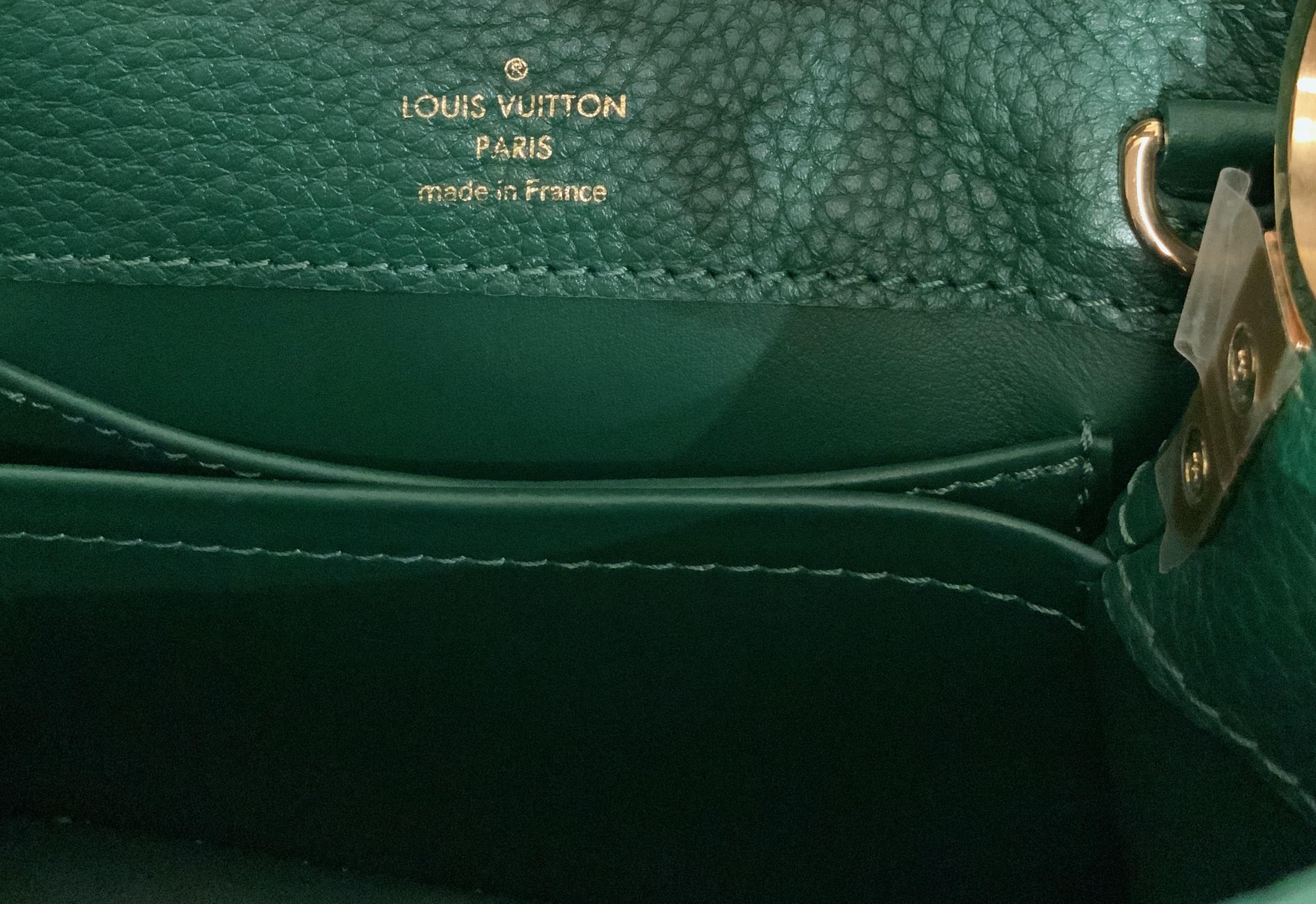 Louis Vuitton Emeraude Green Leather and Python Skin Capucines Mini Bag  7
