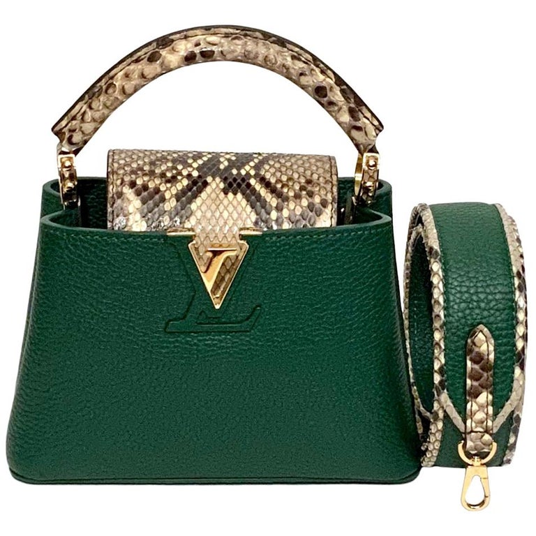 Louis Vuitton Emeraude Green Leather and Python Skin Capucines Mini Bag at  1stDibs