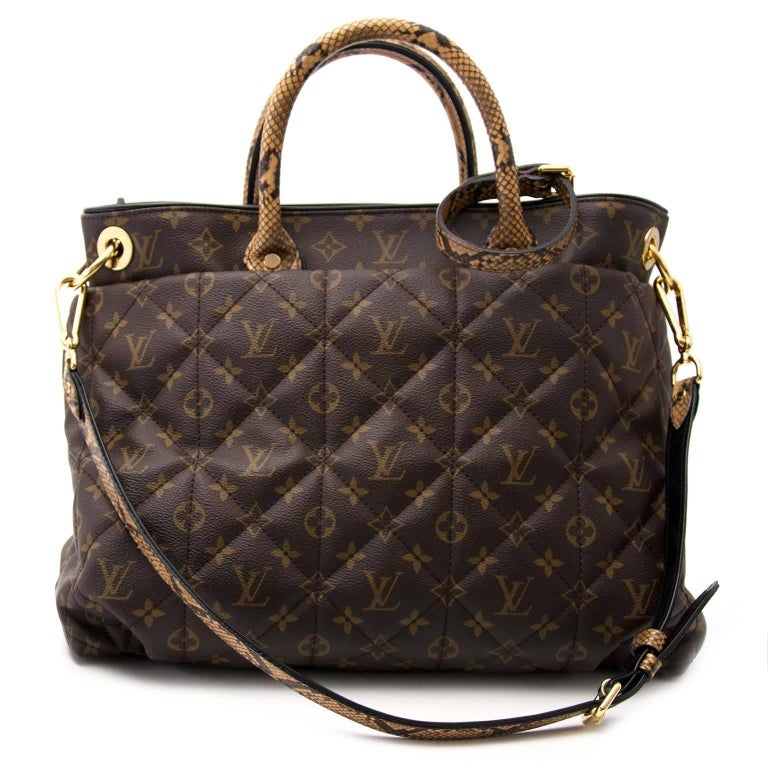 Louis Vuitton Etoile Exotic Python Bag at 1stdibs