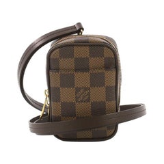 Louis Vuitton Monogram Camera Box Trunk Bag w/Tags - Brown Crossbody Bags,  Handbags - LOU763666