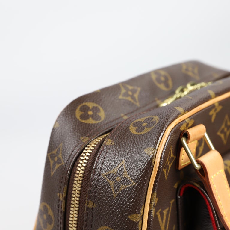 Louis Vuitton Excentri Cité leather handbag For Sale at 1stDibs