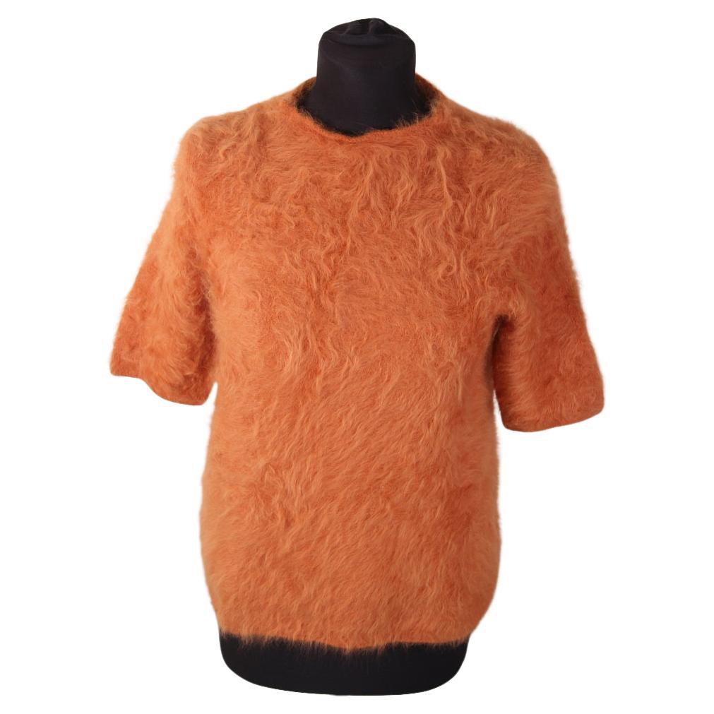 Louis Vuitton Fall 2007 Vermeer-Inspired Collection 2008 Angora top runway For Sale