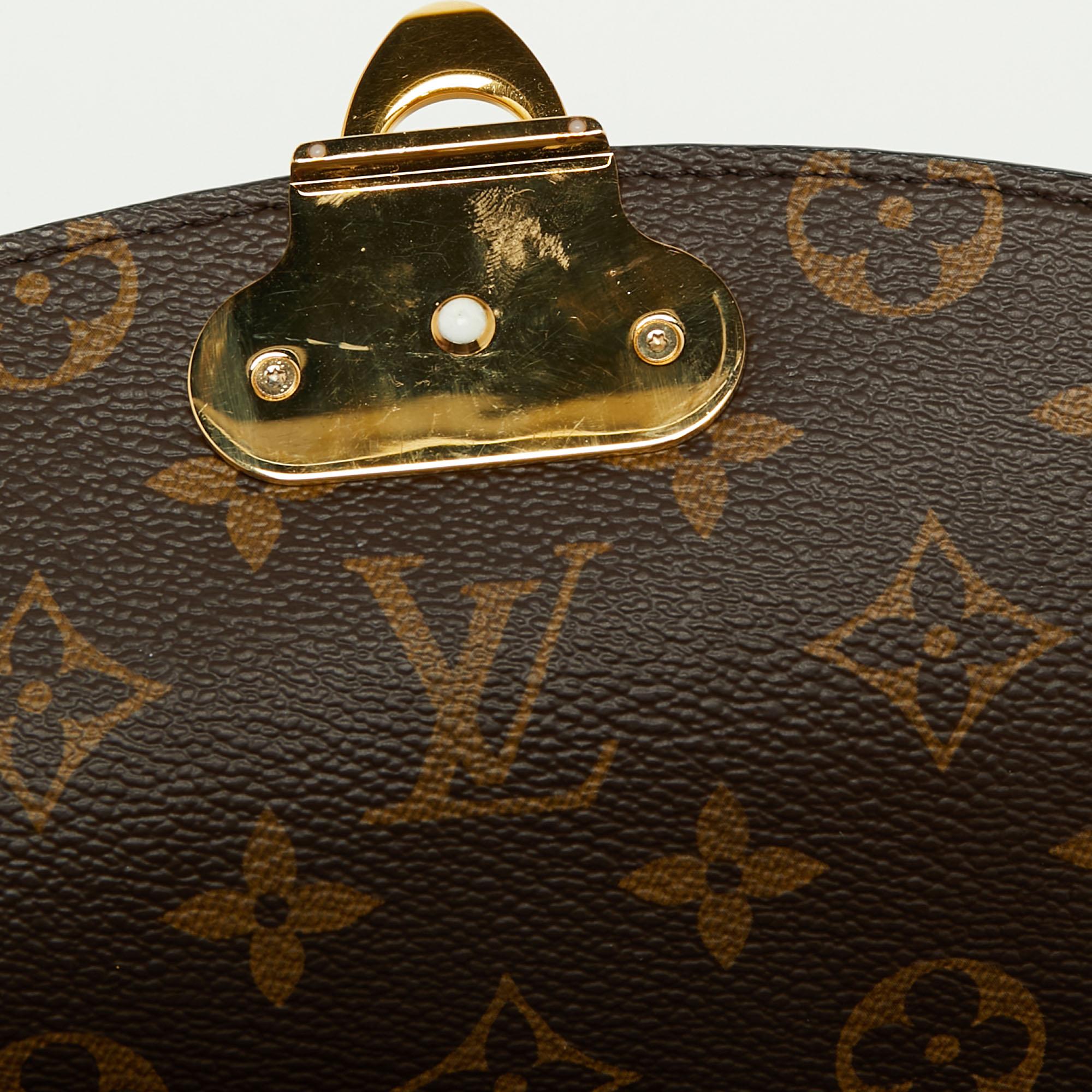 Louis Vuitton Flamme Monogram Canvas and Leather Saint Placide Bag 3