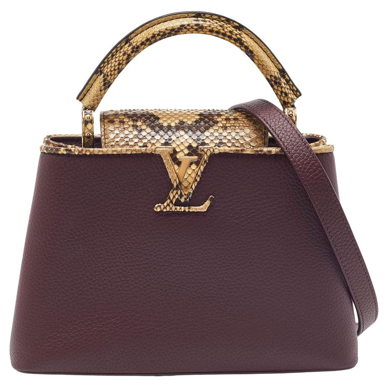 Authentic Louis Vuitton Bags  Timeless Elegance - AMUSED Co