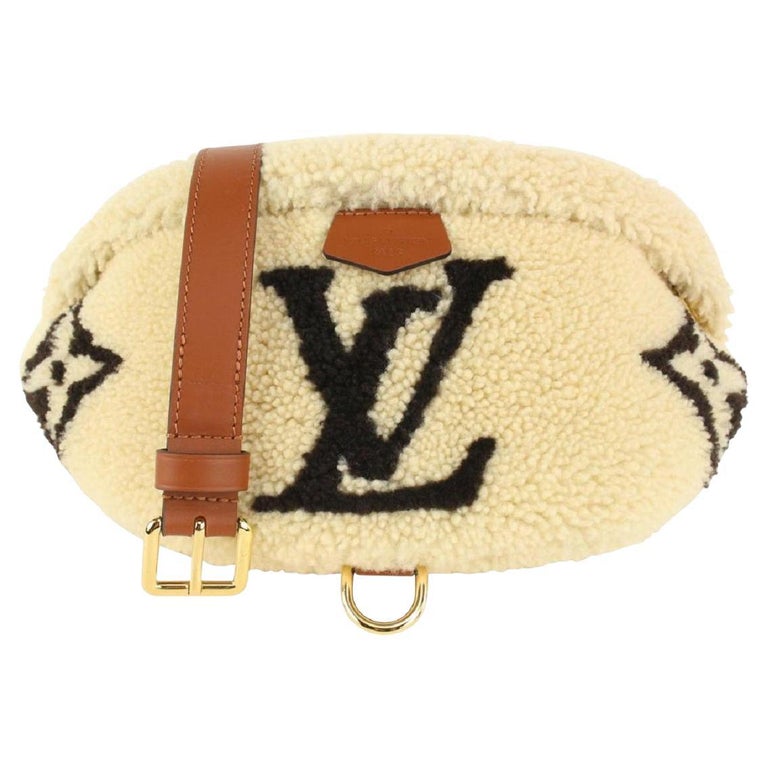 Louis Vuitton Speedy Waist Bags & Fanny Packs