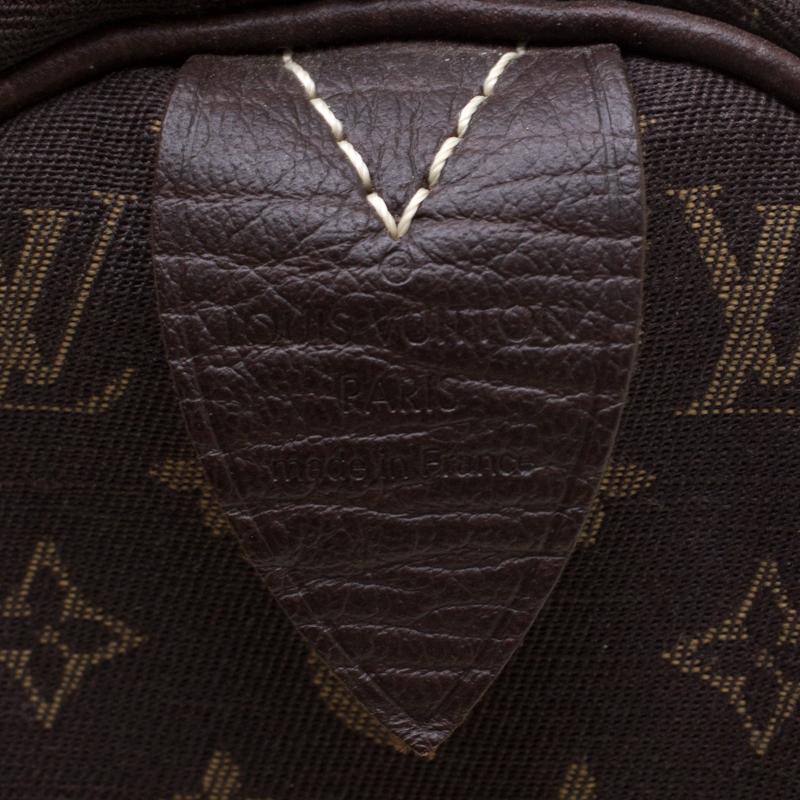 Louis Vuitton Fusain Monogram Canvas Mini Lin Speedy 30 Bag 5