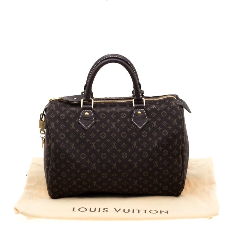 Louis Vuitton Fusain Monogram Canvas Mini Lin Speedy 30 Bag 7