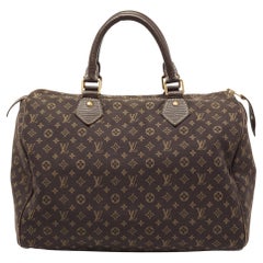 Louis Vuitton Fusain Monogram Idylle Canvas and Leather Speedy 30 Bag