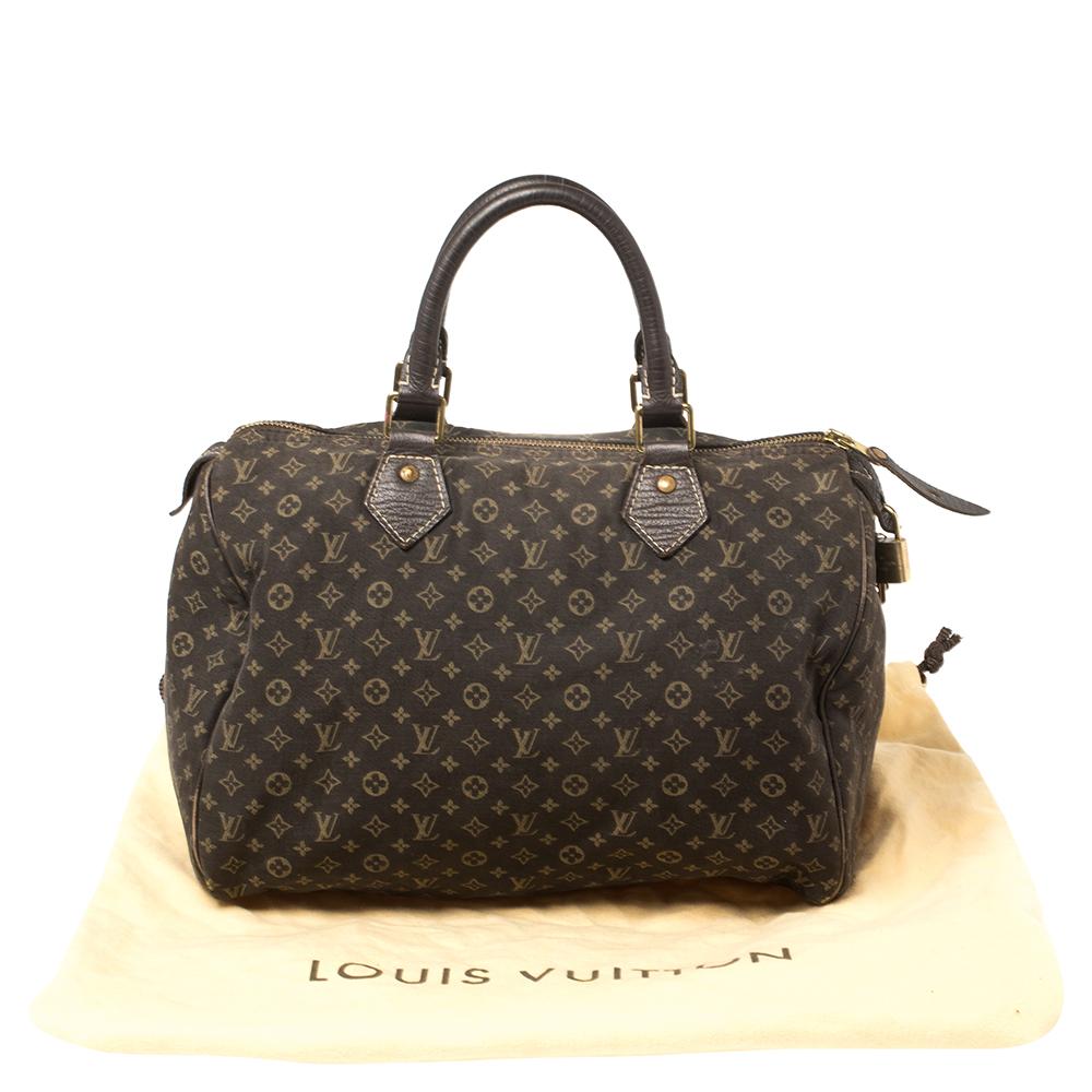 Louis Vuitton Fusain Monogram Mini Lin Canvas Speedy 30 Bag 8