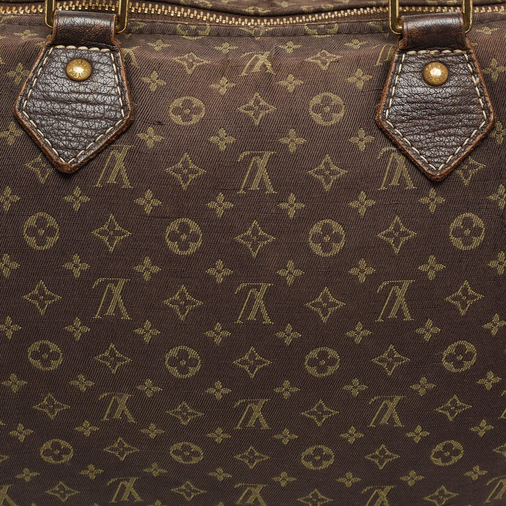 Louis Vuitton Fusain Monogram Mini Lin Canvas Speedy 30 Bag 11