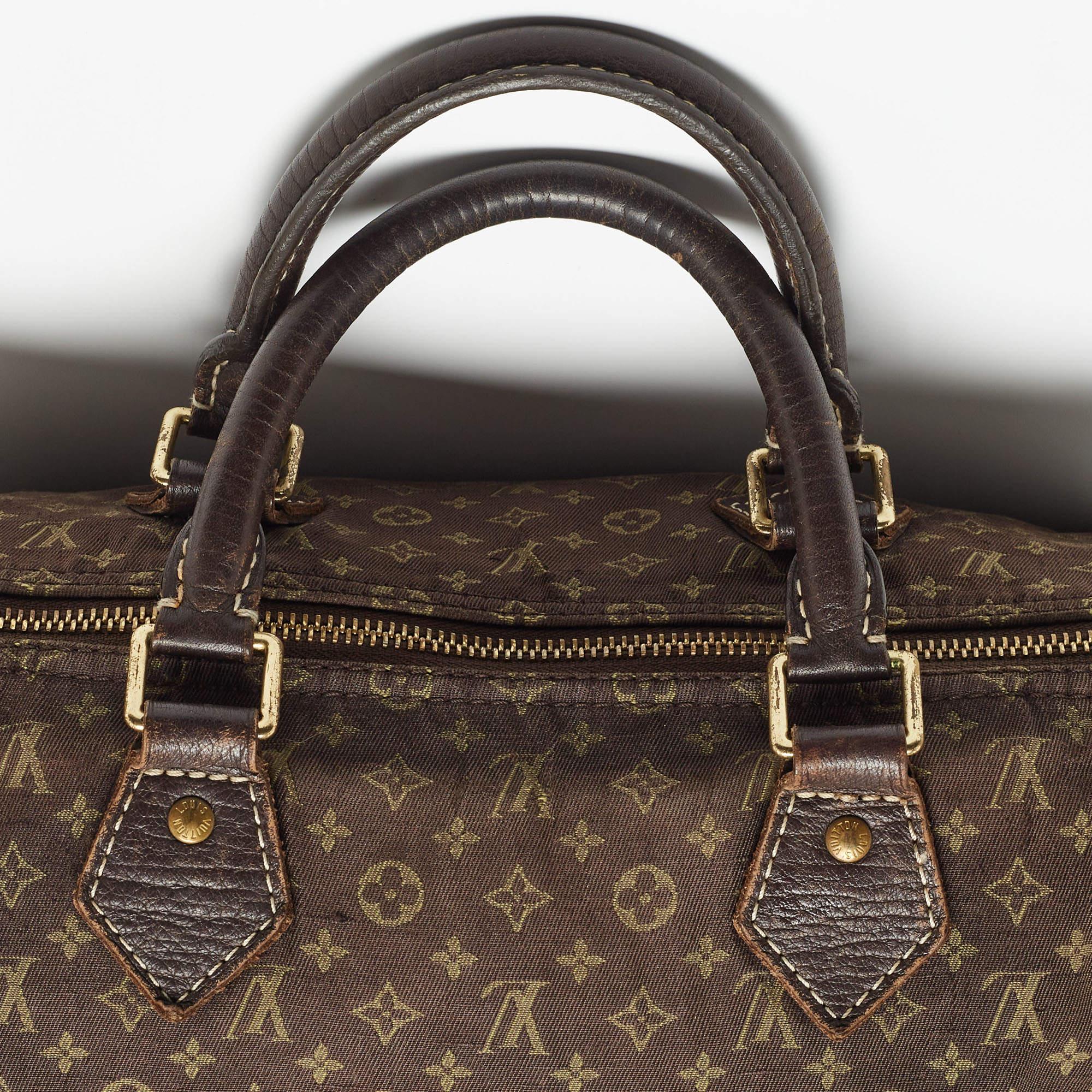 Louis Vuitton Fusain Monogram Mini Lin Canvas Speedy 30 Bag 14