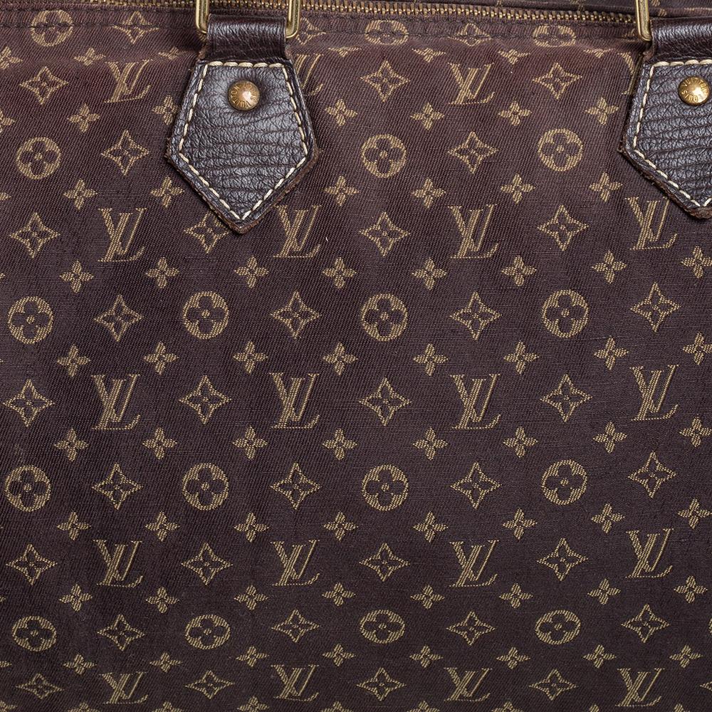 Louis Vuitton Fusain Monogram Mini Lin Canvas Speedy 30 Bag 3