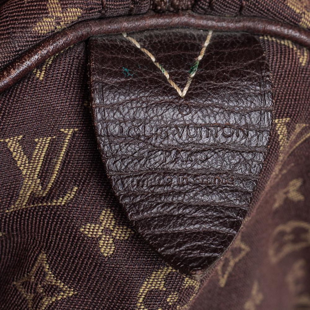 Louis Vuitton Fusain Monogram Mini Lin Canvas Speedy 30 Bag 4