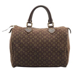 Louis Vuitton Fusain Monogram Mini Lin Canvas Speedy 30 Bag