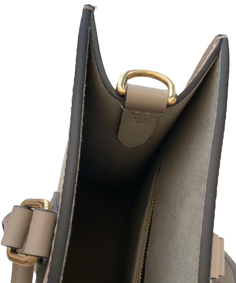 Louis Vuitton Galet Gray Epi Leather Sac Plat PM Bag For Sale 4