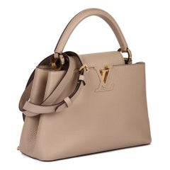 LOUIS VUITTON Galet Taurillon Leather Capucines MM