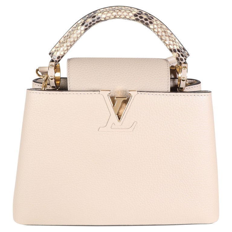 Louis Vuitton Galet Taurillon and Python Capucines BB at 1stDibs