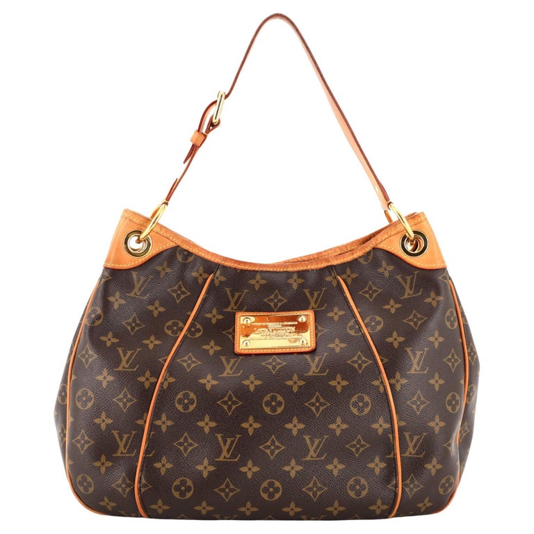 Louis Vuitton Limited Edition Gris Python Artsy MM Bag - Yoogi's