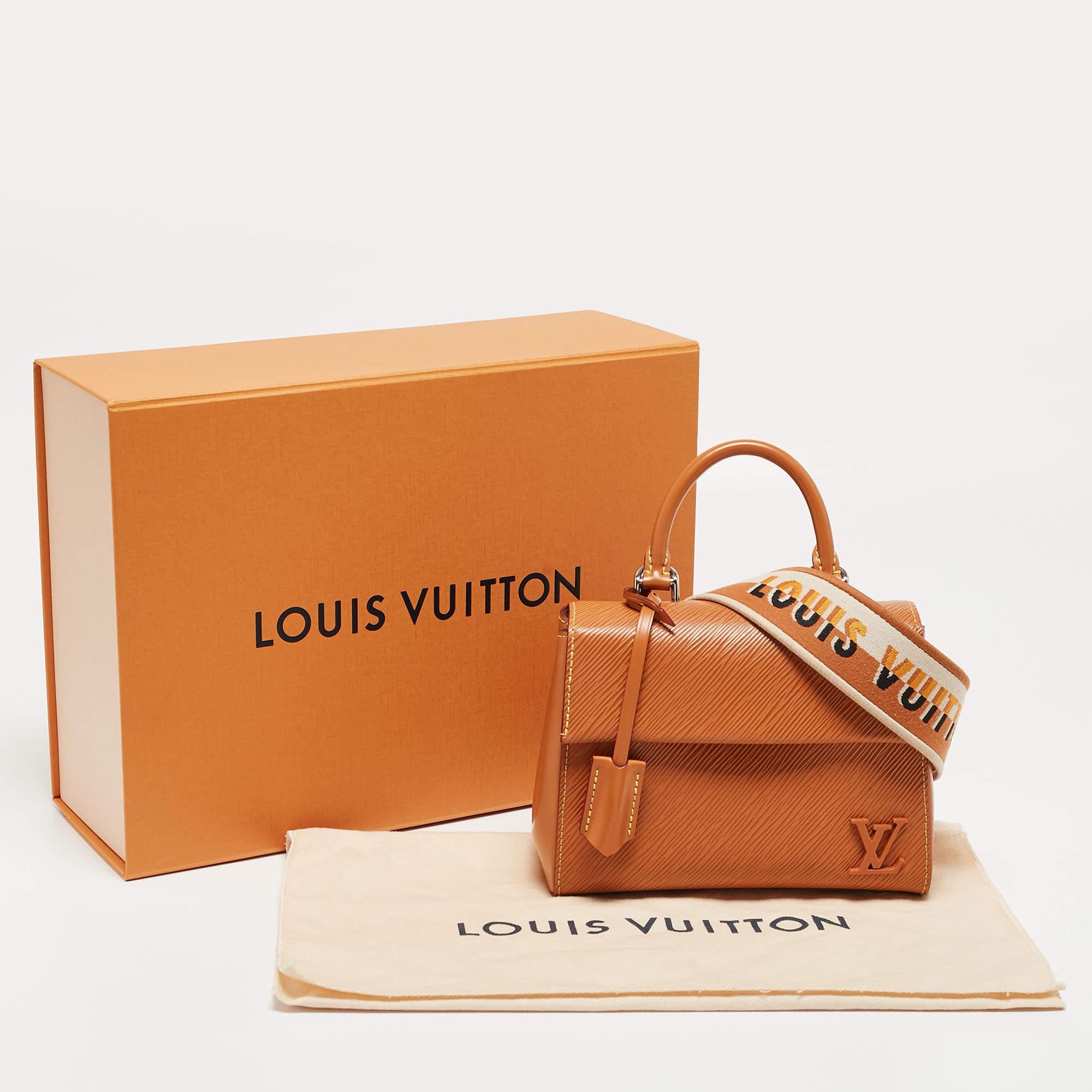 Louis Vuitton Gold Honey Epi Leder Mini Cluny Tasche 4